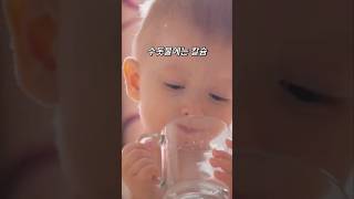 미네랄의 비밀: 수돗물과 생수의 영양적 차이
