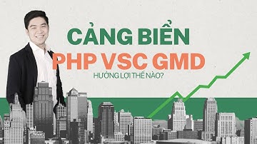 Ngành cảng biển của Việt Nam hưởng lợi thế nào? - PHP GMD VSC