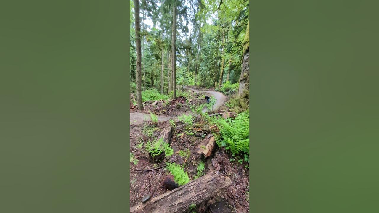 Some jumps at the new trail at duthie hill YouTube