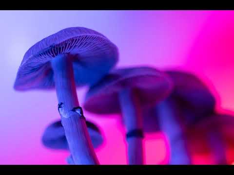 FDA прискорює дослідження психоделиків для лікування депресії та ПТСР