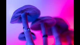 FDA Fast-Tracks Psychedelic Research for Depression and PTSD