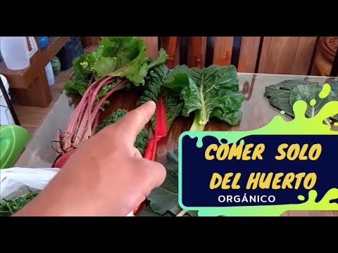 COMIENDO SOLO DEL HUERTO✅✅