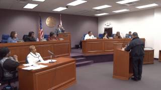 Council Meeting 3-25-13