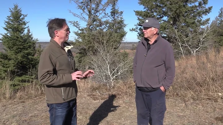 Managing wild pigs in Manitoba - Part 3 | Manitoba Cooperator