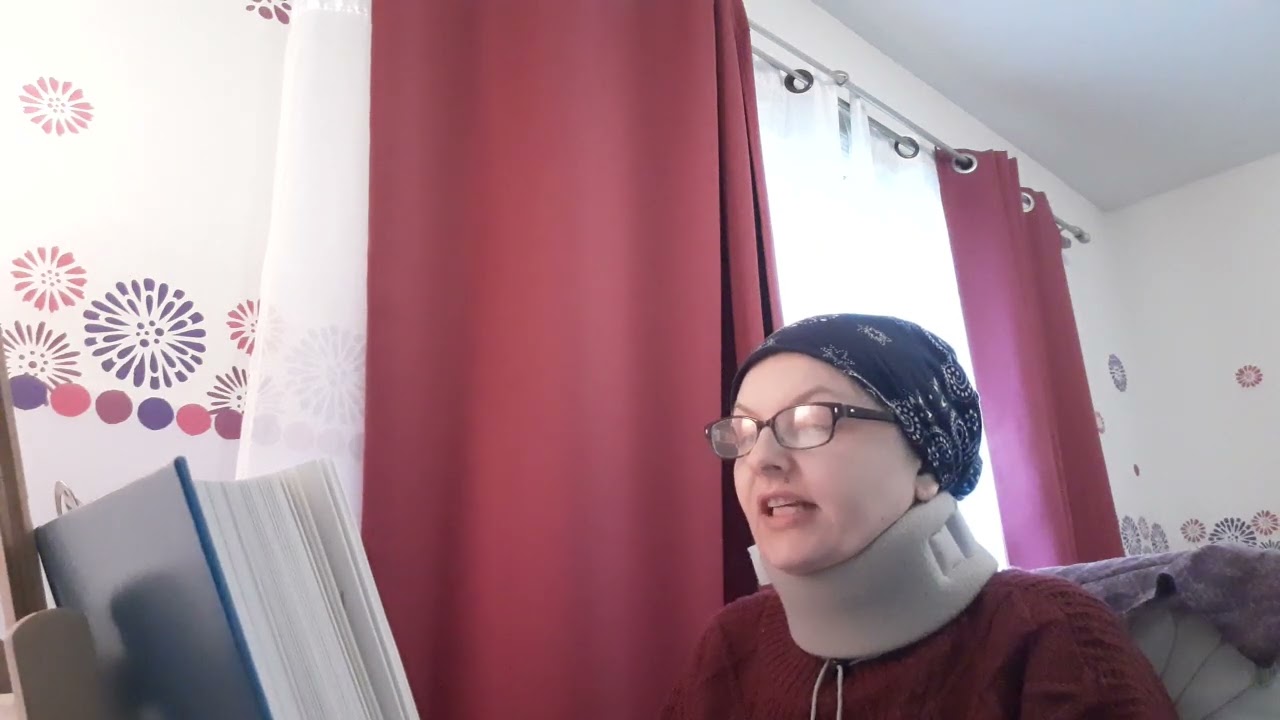 Holy Gospel According to St John  with explanation by Blessed Theophylact Part 65