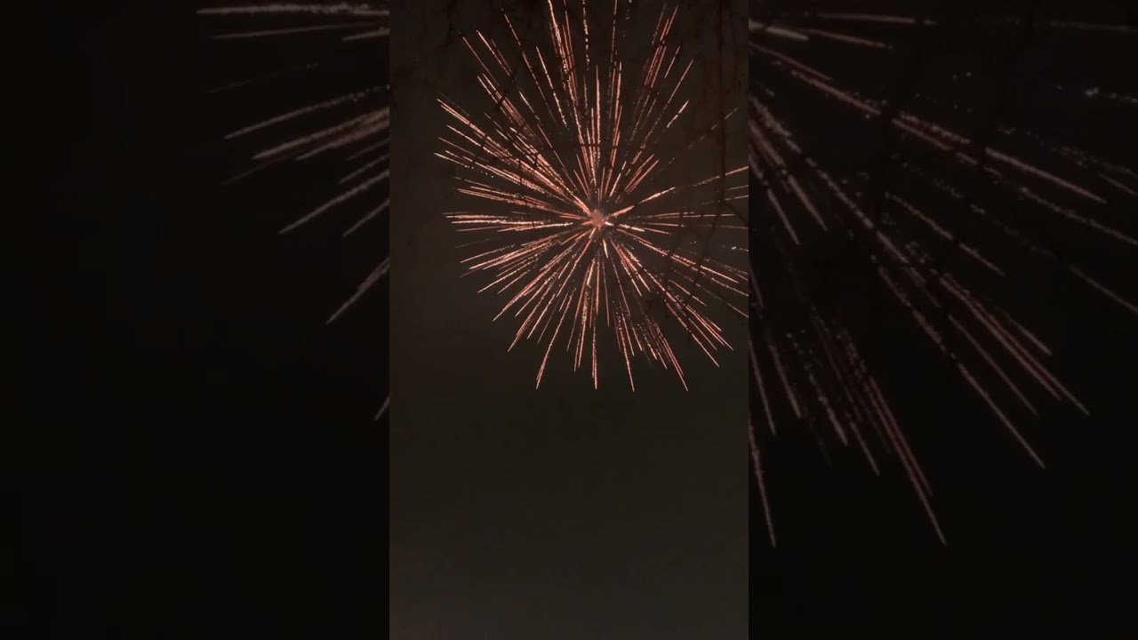 SUNWING JACKPOT 777 CANISTER SHELL