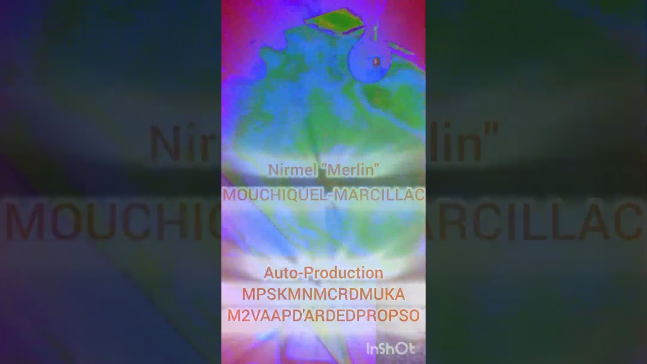 TDR as usual Nirmel Merlin MM "L'encre cyanurique au nom de la Rose bleue et le repassage au chlore"