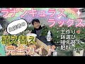 ラックス植え替え完全ガイド【ラナンキュラス】【ガーデニング】【生産者】【土作り】【鉢選び】【肥料】【園芸のぶチャンネル】