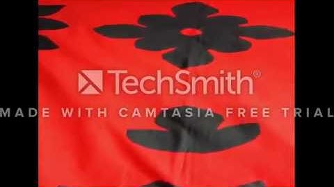 How to Machine Stitch Applique by Jill Finley of Jillily Studio - Fat Quarter Shop