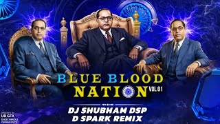 Aali Jayanti Jayanti Remix Dj ShuBham DSP X D Spark Remix X Dj Vip