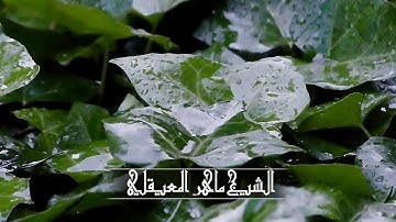 110- الشيخ ماهر المعيقلي - سورة النصر - 1080p HD