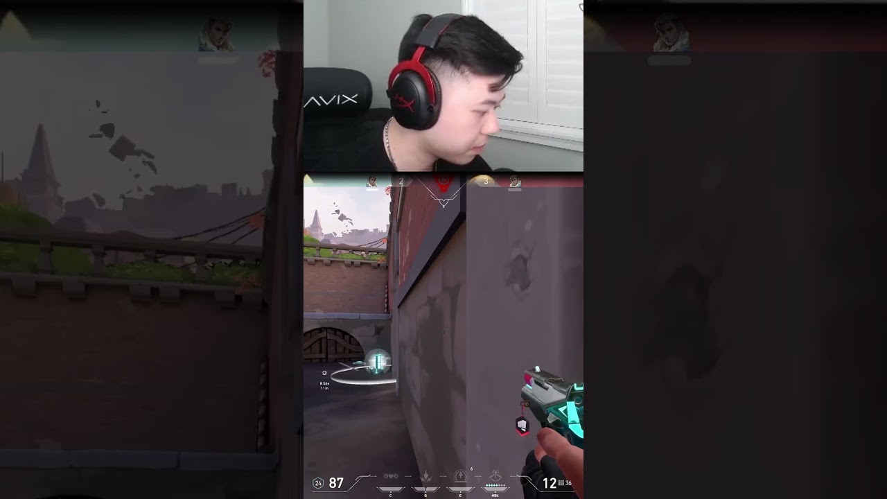 "I Have One Bullet In My Vandal"