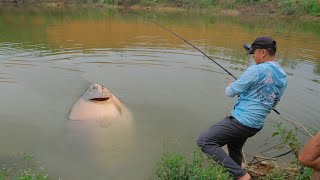 Săn hàng đập tự nhiên toàn cá to kéo phê tay  Câu cá vùng cao