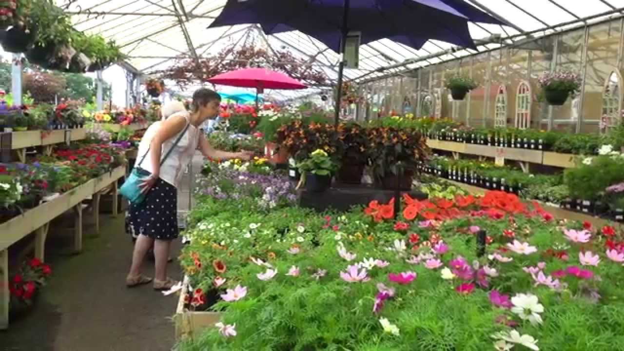 Fryers Garden Centre Youtube