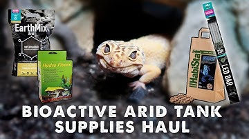 Leopard Gecko Bioactive Tank Supplies! 🌵