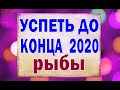 РЫБЫ 🔷 Что УСПЕТЬ до КОНЦА ГОДА?  Таро прогноз гороскоп