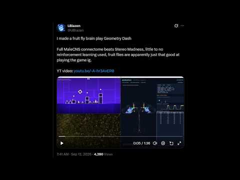 A Fly Just Beat a Geometry Dash Level - Daily GD News