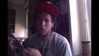 Andreas Panagore Uke Cover Walking On The Moon