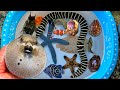WOW Catch Puffer Fish And Eels Hermit Crabs Snails Slugs Ornamental Fish Nemo Fish Starfish WOW Catch Puffer Fish And Eels Hermit Crabs Snails Slugs Ornamental Fish Nemo Fish Starfish