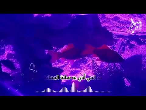 هلموا أيا إخوتي عشر ذي الحجة 