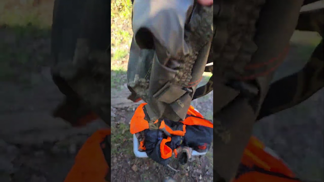 Fin de saison 2024 🐗#chasseur #chasseurfrancais #grandest #sanglier #browning #browningeurope