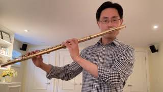 Colour Trills - Extended Techniques for Flute, Alto Flute and Piccolo