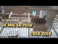 DE MAL EN PEOR CRÍA 2018