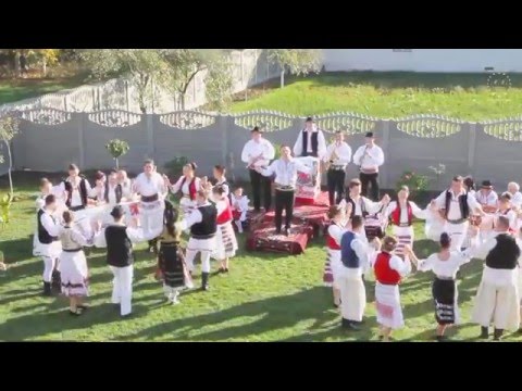 Mile Povan-Azi beau pentru socru' meu