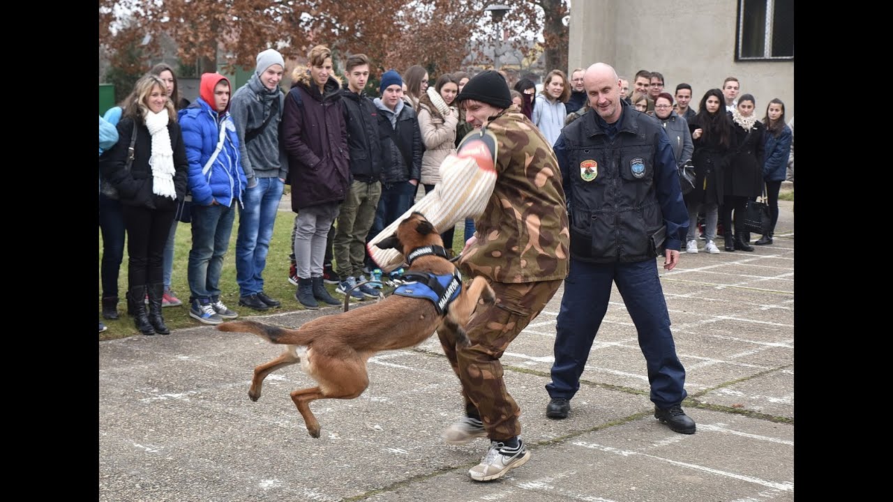 Nyílt nap a Körmendi Rendészeti Szakközépiskolában - hasznos információkkal a felvételihez