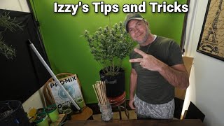 Izzy’s Tips & Tricks: Supporting Heavy Buds Without a Scrog #GrowTips #HomeGrow #CannabisTraining 