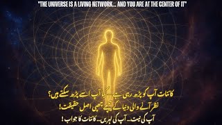 The Divine Matrix | The Secret Code of the Universe | Universe Code Explained | Energy Matrix | S...