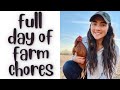 Day in the life at the farm | full day of farm chores
