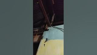Hantu poppo berbunyi...