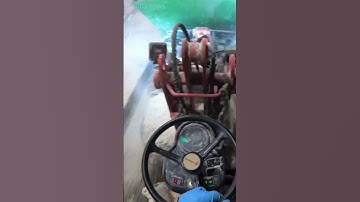 What do they put on cows