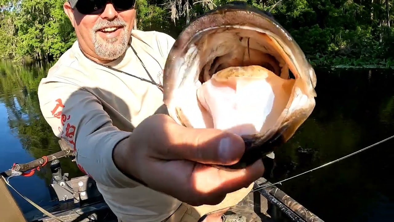 Fishing at its Finest!!!  ” BIG BASS INCOMING”