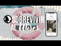 5 Consejos para leer | Ulises 🍀