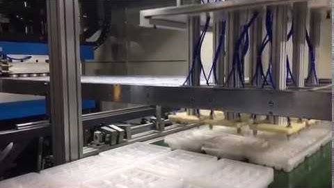 Fully-Automatic Food Container Forming Cutting Stacking Machine