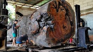 Amazing Discovery‼️A Beautiful Trembesi Tree Log at a Sawmill