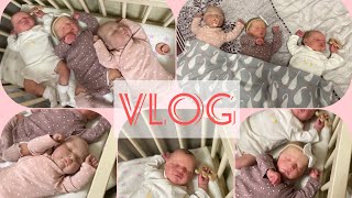 : Vlog  3  .  1 