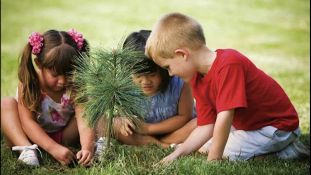 Человек заботится о природе. Дети и природа. Заботимся о природе. Детям об экологии. Дерево для детей.