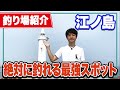 【江ノ島/湘南大堤防】江ノ島の初心者向け釣り場紹介！サビキ釣りやジギングにも最適