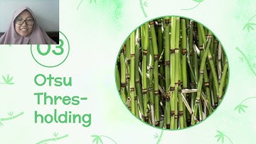 Segmentasi dengan Otsu Thresholding pada Citra Medis - UAS Pemrosesan Citra Biomedis