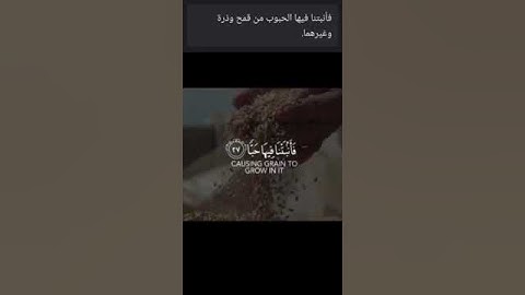 فلينظر الإنسان إلى طعامه أنّ صببنا الماء صباً | سورة عبس: الآيات 24 - 32