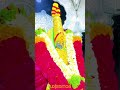 #तुळजाभवानी_प्रसन्न #dj #lifeisbutadream #ytshorts #explorepage #explore
