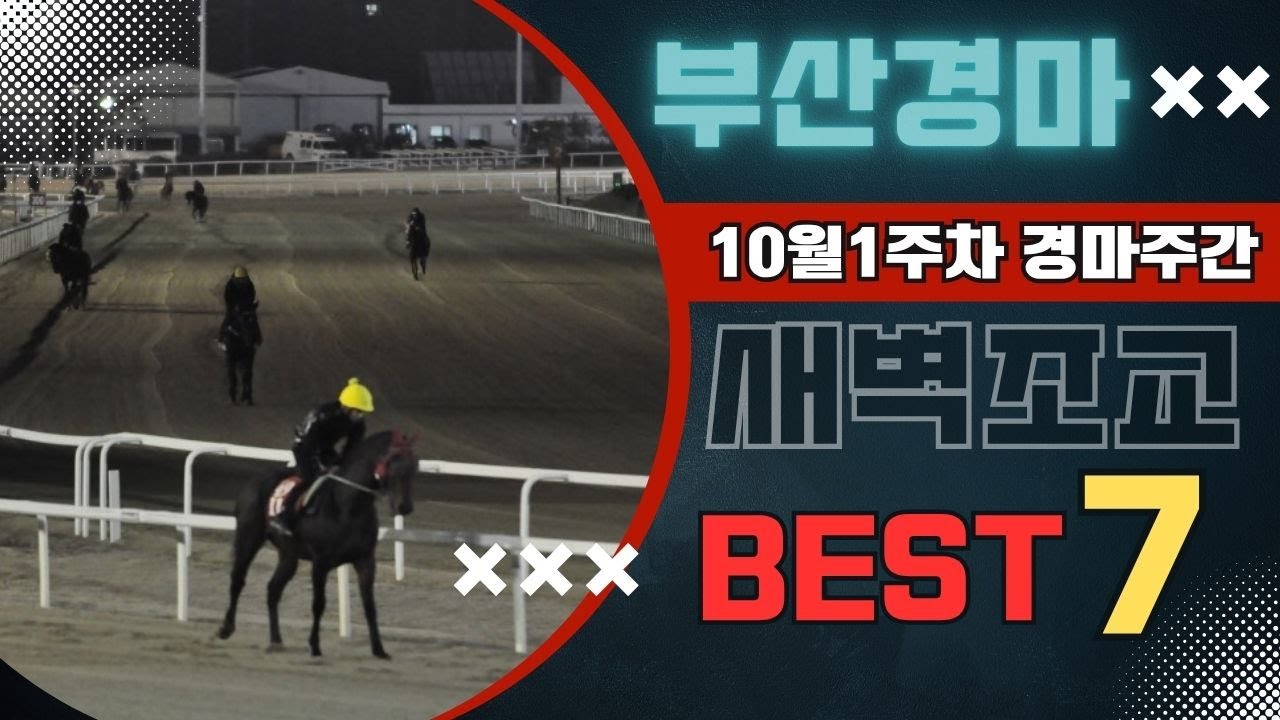 [굽소리경마] 10월1주차 부산경마!! 훈련변화 뚜렷한 7두!!#새벽조교#과천경마장#조교우수마#굽소리경마