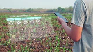 Farmer using augmented reality application to check the weather in real time screenshot 4