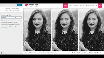 How To Edit Portfolio Slug Settings From Theme Customize