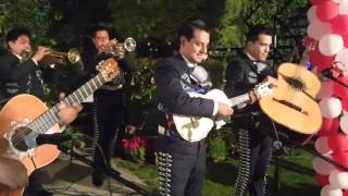 FIESTA EN JALISCO. MARIACHI REYES JALISCIENSE. Informes. 5540550891