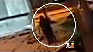 Victim Fights Back Against LES Mugger