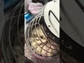Mixing with a spiral mixer the Revo Bake Titan Tilt 7.5